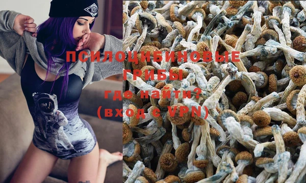стаф Баксан