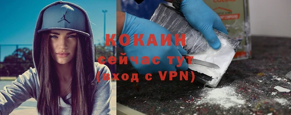 стаф Баксан