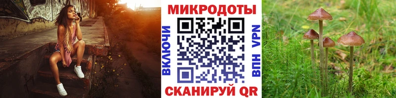магазин продажи наркотиков  Армавир  Галлюциногенные грибы Psilocybe 
